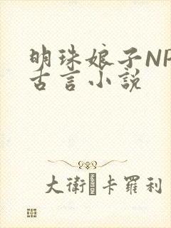 明珠娘子NPC古言小说