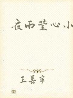 夜雨莹心小说