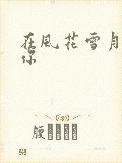 在风花雪月里等你