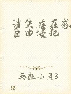 消失存在感消失自由侵犯