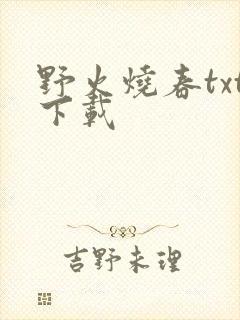 野火烧春txt下载
