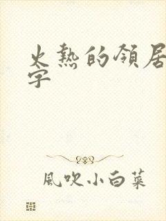 火热的领居中文字