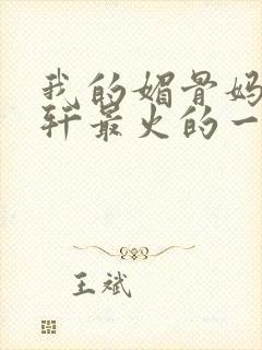 我的媚骨妈妈林轩最火的一句