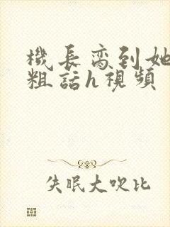 机长脔到她哭h粗话h视频