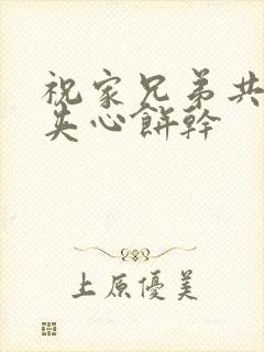 祝家兄弟共享后夹心饼干