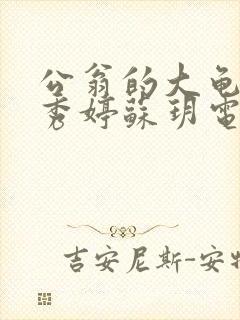 公翁的大龟挺进秀婷苏玥电影