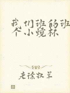 我们班的班花是个小烧杯