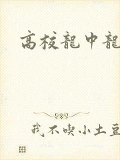 高校龙中龙