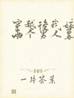 穿越后我嫁给了两个男人暮色酒歌