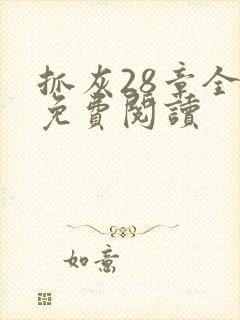 抓灰28章全部免费阅读