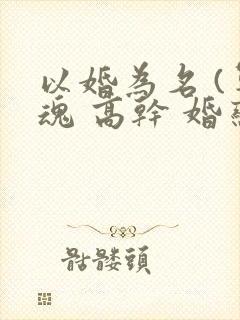 以婚为名 (军魂 高干 婚恋)
