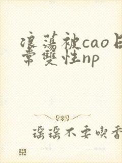 浪荡被cao日常双性np