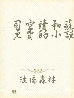 司空靖和苏月汐免费的小说笔趣阁