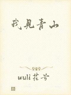 我见青山