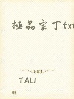 极品家丁txt