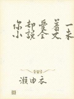 你却爱着一个他小说全文未删减免费