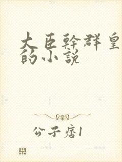 大臣干群皇太后的小说