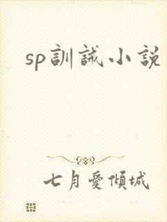 sp训诫小说