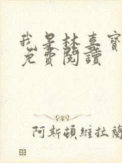 我是林喜宝小说免费阅读