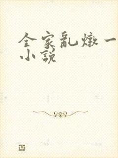 全家乱炖一锅烩小说