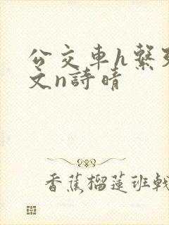 公交车h系列辣文n诗晴