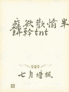 瘾欲欢愉半块小饼干tnt