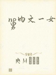 np肉文一女多男
