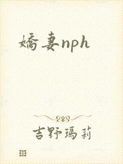娇妻nph
