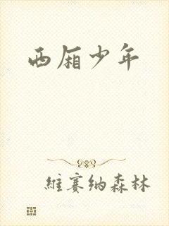 西厢少年