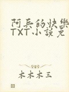 阿兵的快乐生活TXT小说免费阅读全章