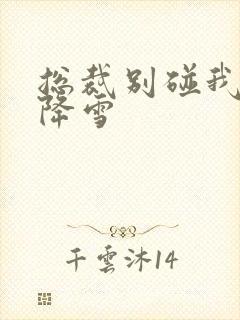 总裁别碰我 韩降雪