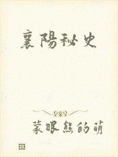 襄阳秘史