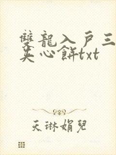 双龙入户三人行夹心饼txt