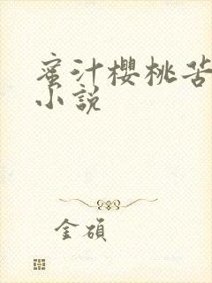 蜜汁樱桃苦咖啡小说