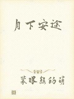 月下安途