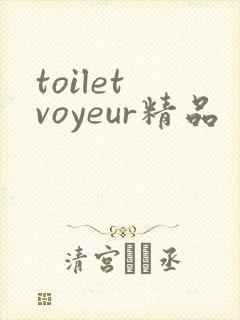 toilet voyeur精品