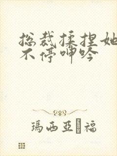 总裁揉捏她两乳不停呻吟