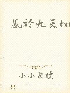 凤于九天txt