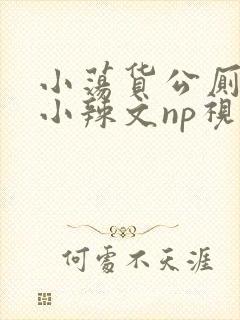 小荡货公厕h文小辣文np视频