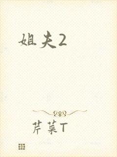 姐夫2