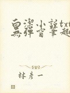 白洁小说txt无弹窗笔趣阁