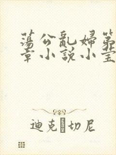荡公乱妇第51章小说小莹