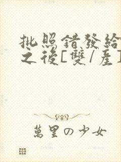 批照错发给情敌之后[双/产]