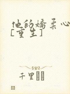 他的娇柔心尖宠[重生]