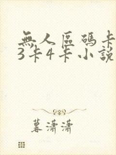 无人区码卡二卡3卡4卡小说