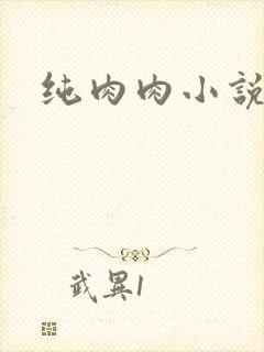 纯肉肉小说