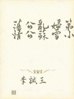 荡公乱妇第1章情公苏雪小说