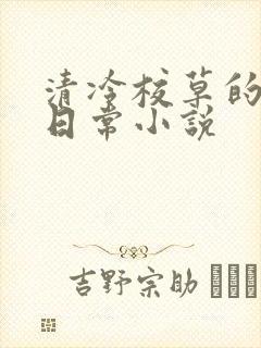 清冷校草的堕落日常小说