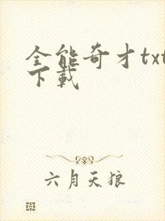 全能奇才txt下载