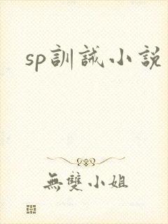 sp训诫小说